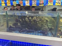 -大众海鲜(巨龙北路店)