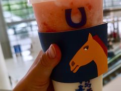 -春丽小马(济南恒隆广场店)