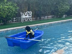 -汪说喵讲宠物乐园宠物酒店(红星美凯龙店)