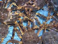 -渔民新村(番禺总店)