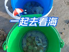 -嵊泗基湖沙滩