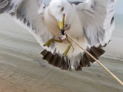 -海驴岛(荣成市)