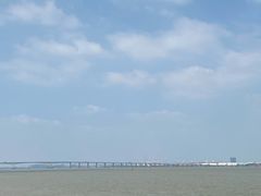 -大湾区中央湿地公园