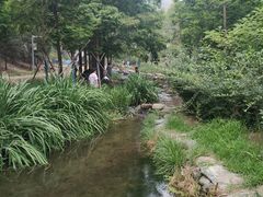 -白水寺森林公园
