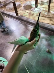 -酷嗒动物文化乐园(cutezoo西溪乐天城店)