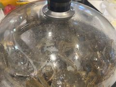 -半岛听涛蒸汽海鲜自助(K11店)