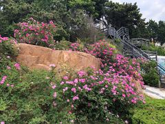 -青岛海滨风景区