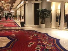 -拉斯维加斯永利酒店