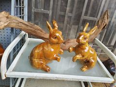 -桂林市花鸟市场