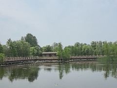 -溱湖国家湿地公园