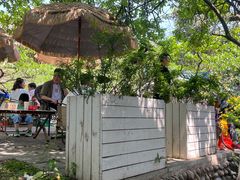 -桃源山庄·水蜜桃采摘·柴火鸡·烧烤团建(龙泉山店)