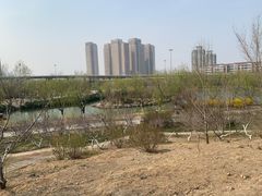 -南翠屏公园