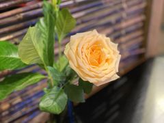 -新加坡海鲜(国贸商城店)