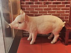-猪角·闽南猪脚饭(华闽大厦店)