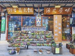 -源之原味·野生菌火锅(大理古城店)