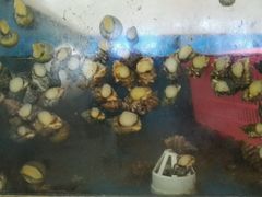 android_upload_pic-丰收渔港饭店(嵊泗店)