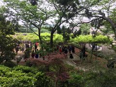 -嘉定紫藤园