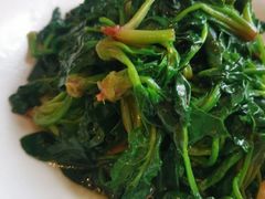 红苋菜-同庆楼(大钟寺店)