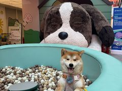 -MARSMART PETS火星宠物超市(1733店)