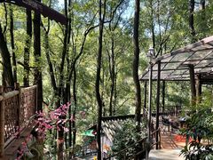 -巴倒烫陆派火锅山庄(南山总店)