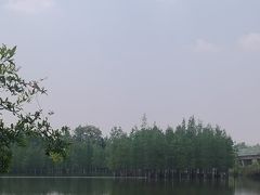 -白鹭湾湿地公园