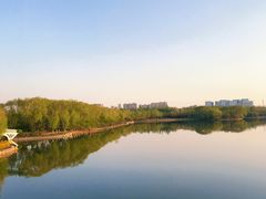 -大兴滨河森林公园