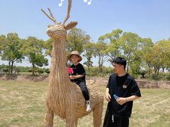 -海上花岛玫瑰园采摘