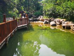 -云丘山景区