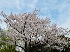 -常州大剧院保利影城