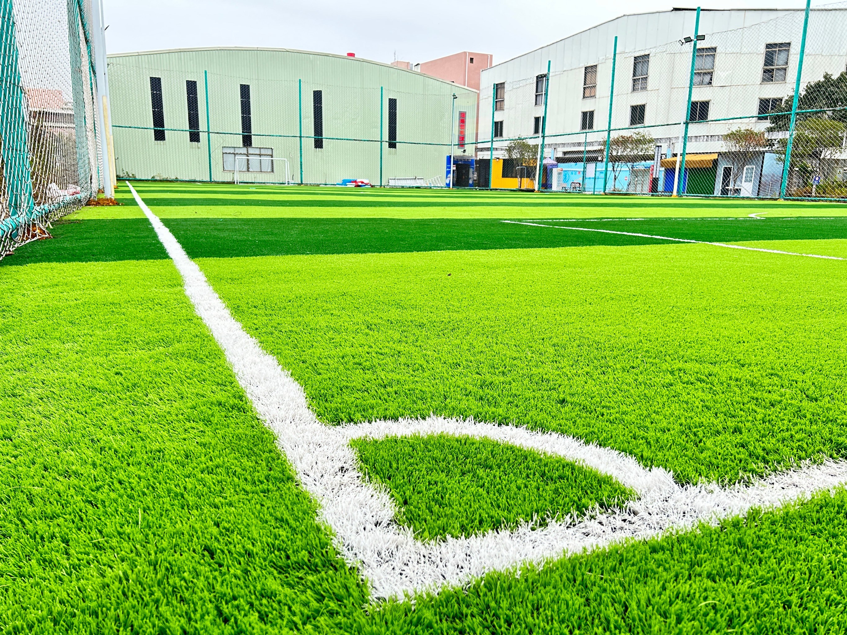 学足球 来荣狮!