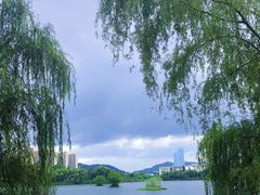 -洋湖国家湿地公园