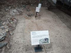 -南越王博物院(王宫展区)