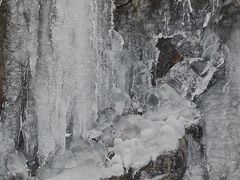-东白山