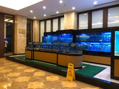水产区-三亚海韵度假酒店·韵和轩中餐厅