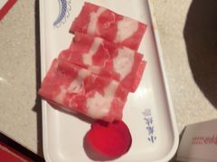 -小龙坎火锅(全球旗舰店)