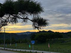 -齐岳山