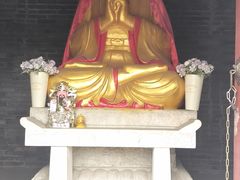 -白水寺森林公园