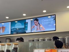-雾与山茶(大禹城店)