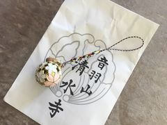 -有栖山 清光院 清水寺