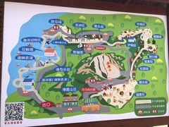 -西霞口神雕山野生动物世界