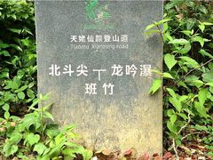 -天姥山