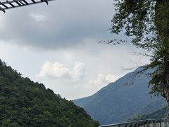 -千岛湖石林