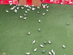 -首创奥特莱斯(西安店)