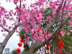 -五龙客家风情园