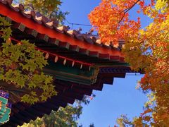 -香山公园