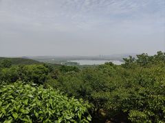 -香雪海