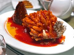 松鼠桂鱼-亢龙太子酒轩·花园店