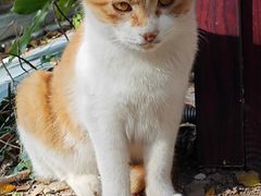 -狼山风景名胜区