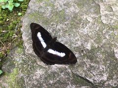 -黄公望隐居地