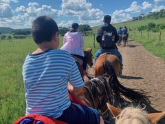 -塞罕坝国家级自然保护区